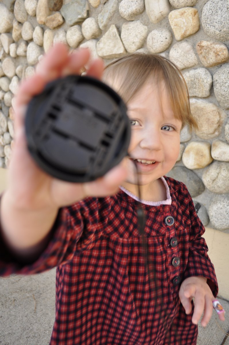 Burda Sewing Pattern 9503 Dress