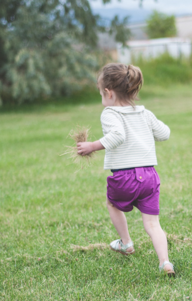 Willow and Co Patterns Aster Cardigan Clover Shorts